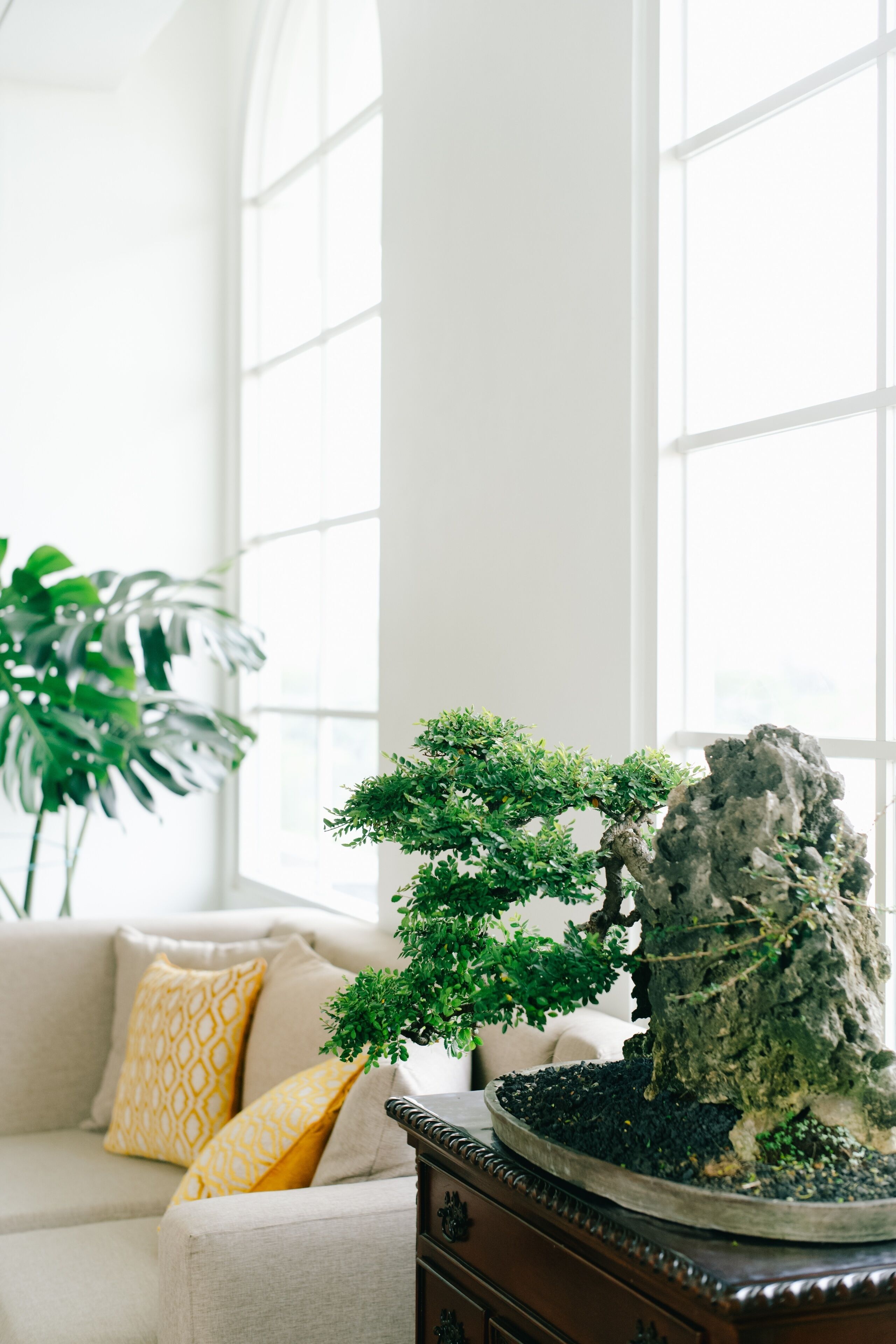A room with a large window, a bonsai tree, a rock, and a sofa with patterned cushions.