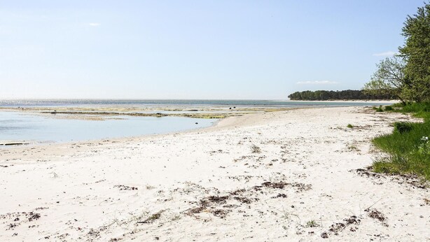 A sandy beach with a clear view of the ocean and a forested area in the background. - Nice home in Nexø with WiFi (Nexø)