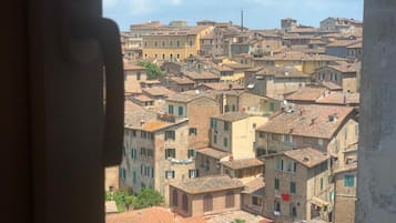 City view from property