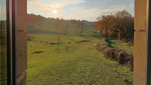 Blick auf eine ländliche Landschaft mit einem Feldweg und Bäumen.