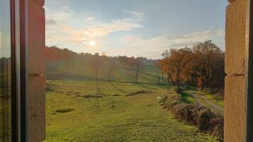 Klassieke tweepersoonskamer, uitzicht op tuin (La Dinotière.) | 1 slaapkamer, verduisterende gordijnen, gratis wifi