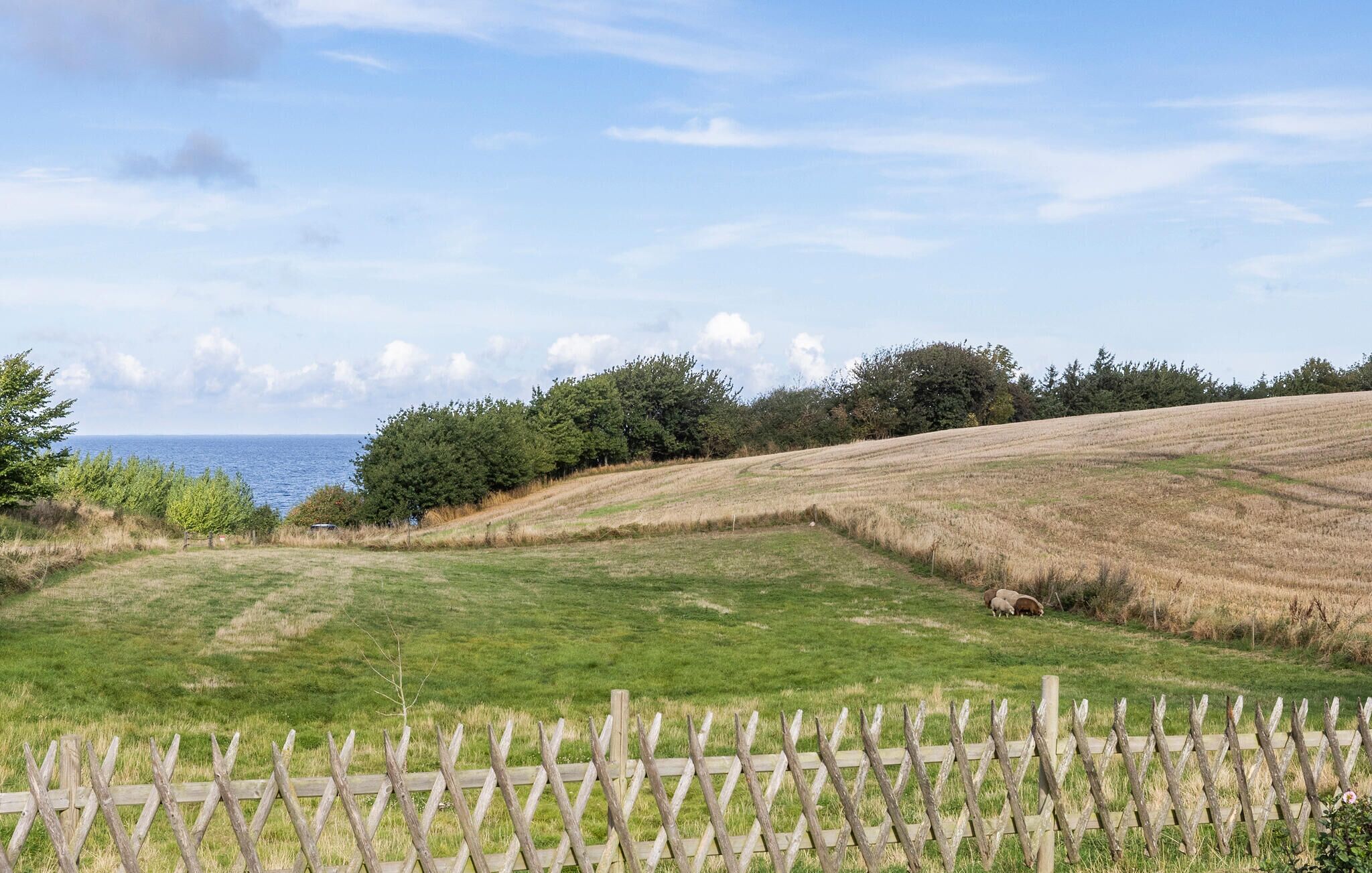 Landskab med træhegn, græsmarker og et vandareal i det fjerne.