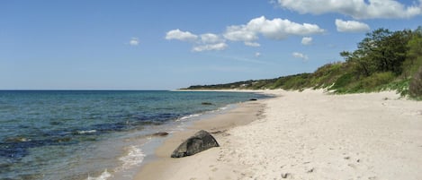 Tæt på stranden