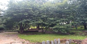 A stone pathway leading through a park with lush green trees and a grassy area. - Temple Tree Residence (Virudhunagar)