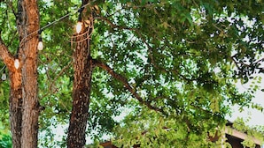 Una casa del árbol de madera con una escalera y barandilla de metal.