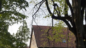 Une maison traditionnelle à colombages, dotée d’un toit en pente, entourée d’une clôture en bois et bordée d’une allée pavée.