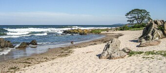 Cozy apartment in Allinge with WiFi