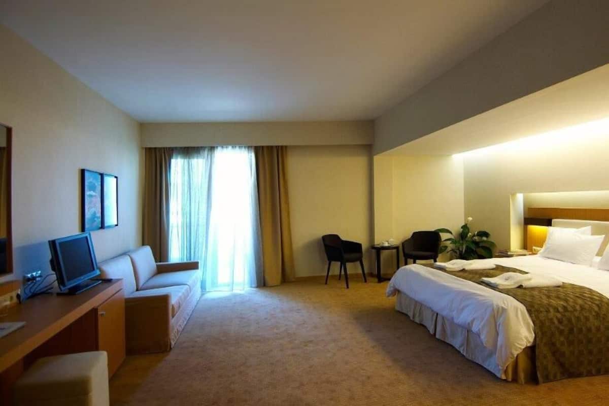 Double Room with Sofa bed | 고급 침구, 오리/거위털 이불, 미니바, 객실 내 금고