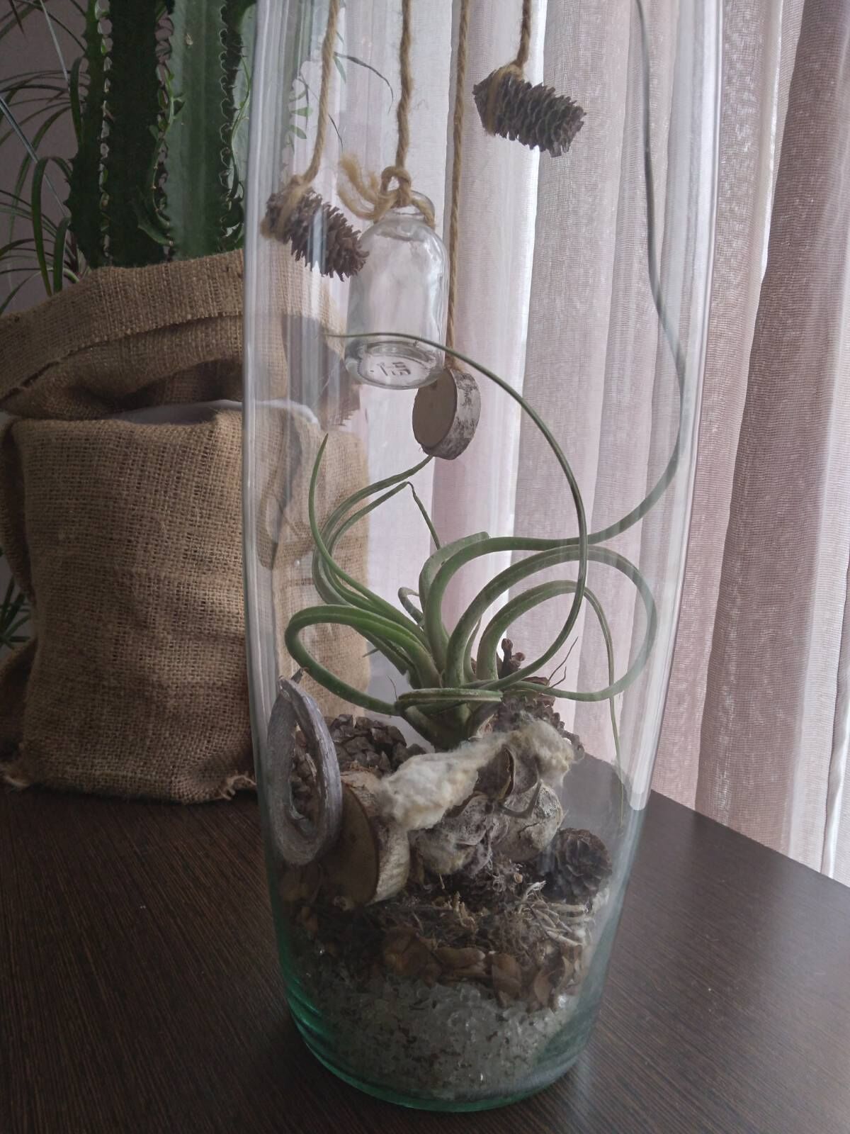 A terrarium with a glass container, green plants, and decorative elements like pinecones and a burlap sack.