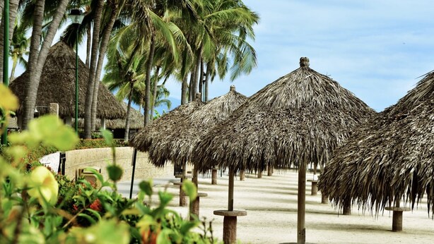 A beach with thatched umbrellas and palm trees.