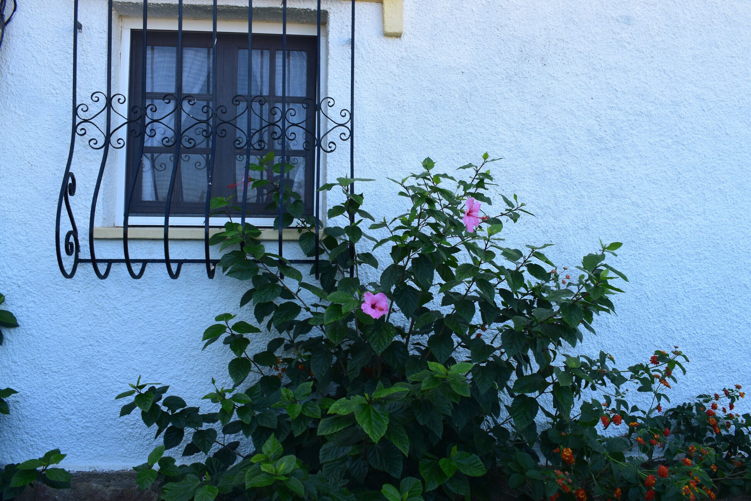 تفاصيل الفندق من الخارج