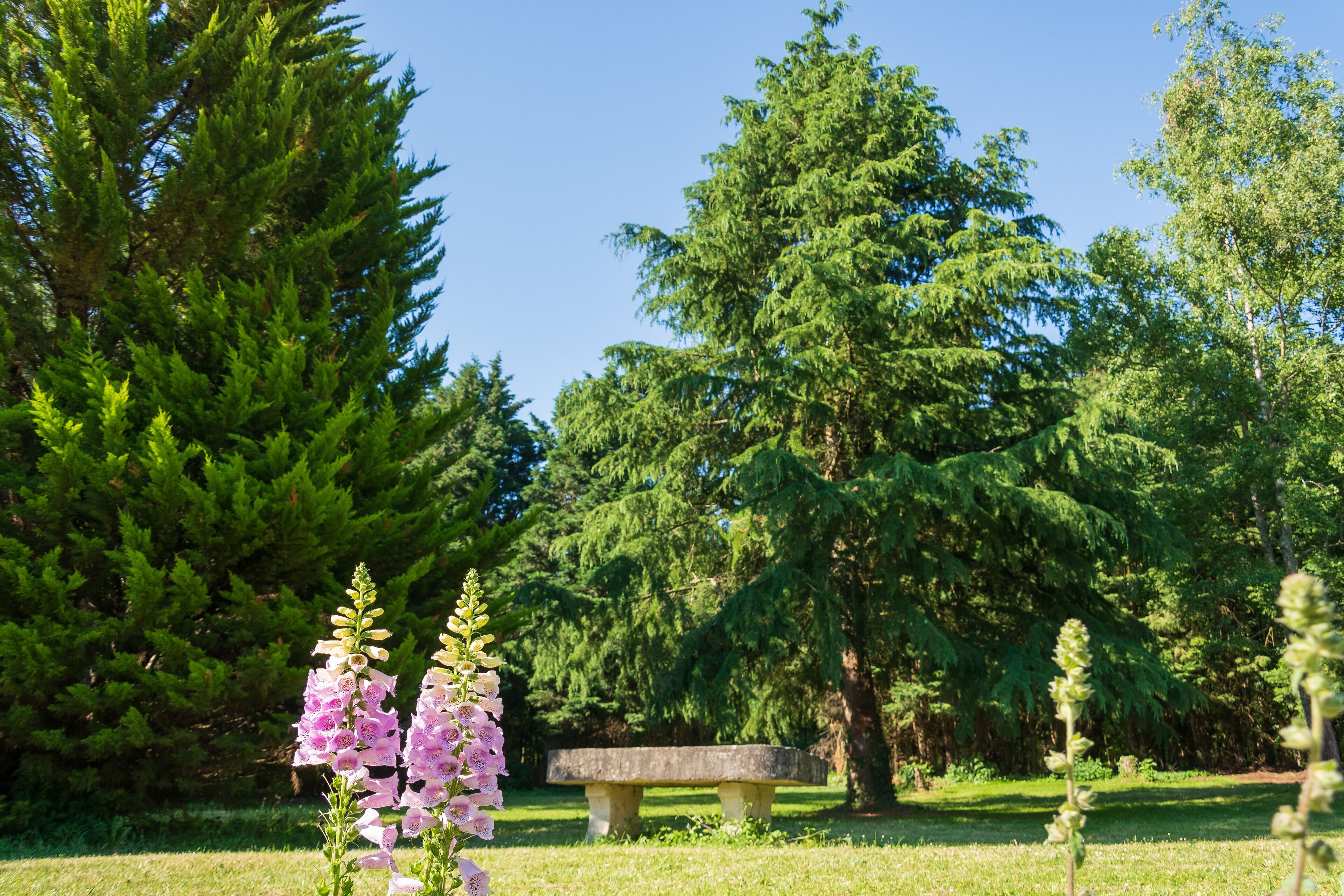 Àrea exterior de l'allotjament