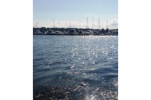 Boats docked in a serene marina surrounded by trees and buildings.