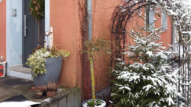 Un bâtiment portant le numéro « 5 » et une enseigne « KERBER ». On y voit des plantes en pot et un arbre recouvert de neige.