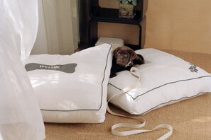 2 bedrooms, desk, iron/ironing board, travel cot