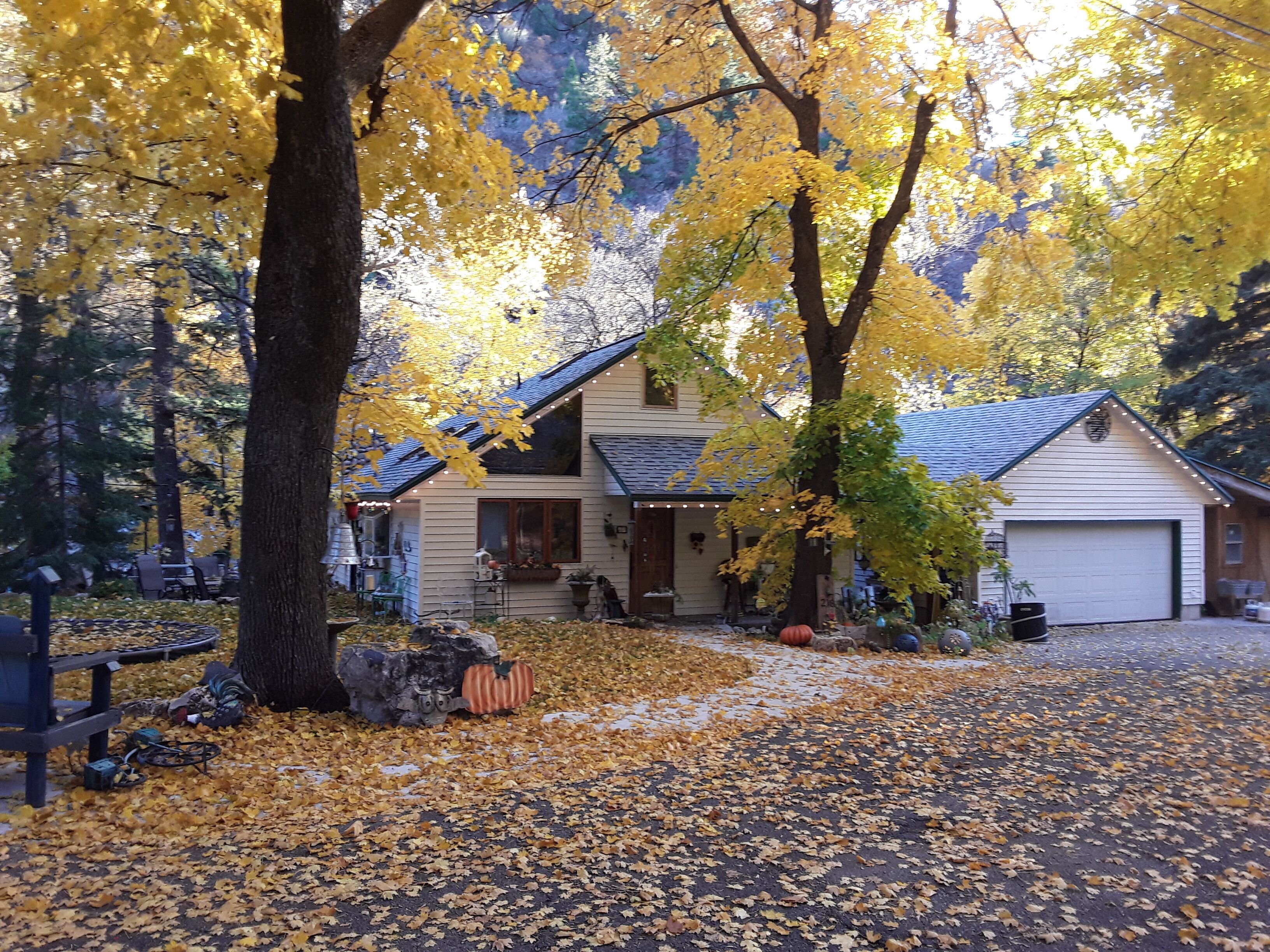 Une maison avec un garage, entourée d’arbres aux feuilles jaunes, et une allée bordée de feuilles mortes.