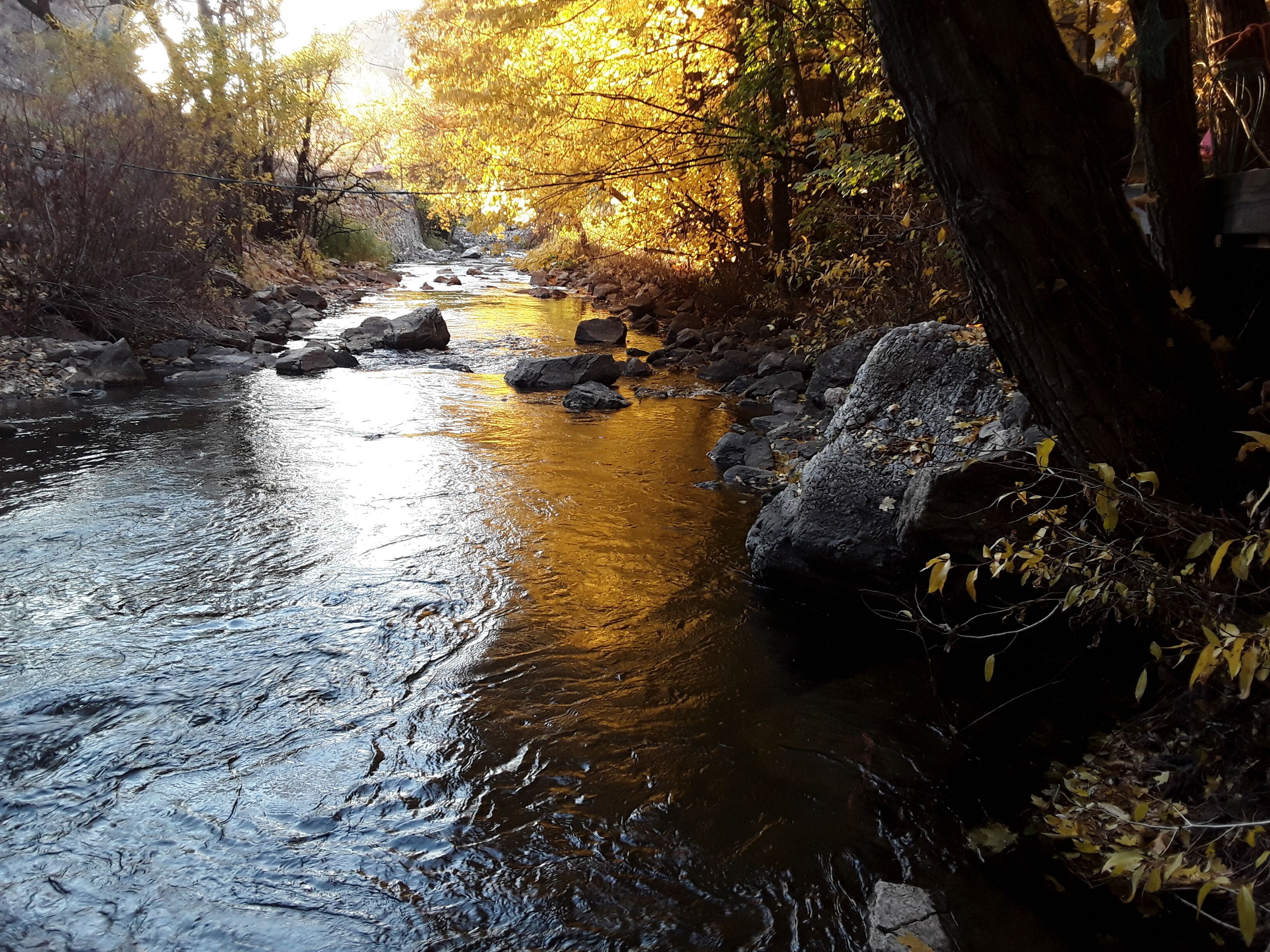 Une rivière qui traverse une forêt, avec des rochers et des arbres.