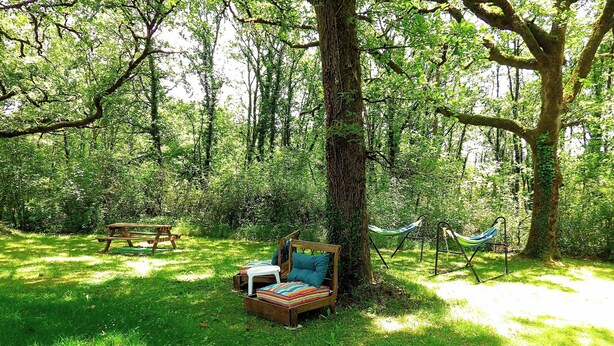 A picnic area with a bench, a hammock, and a picnic table surrounded by trees. - Located in a tranquil woodland setting. (Baladou)