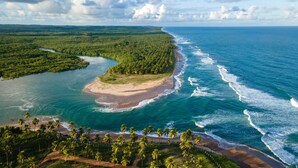 An aerial view of a coastal area with a beach, palm trees, and a river.