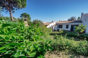 Um jardim com um edifício branco, uma árvore e uma estrutura de pedra.