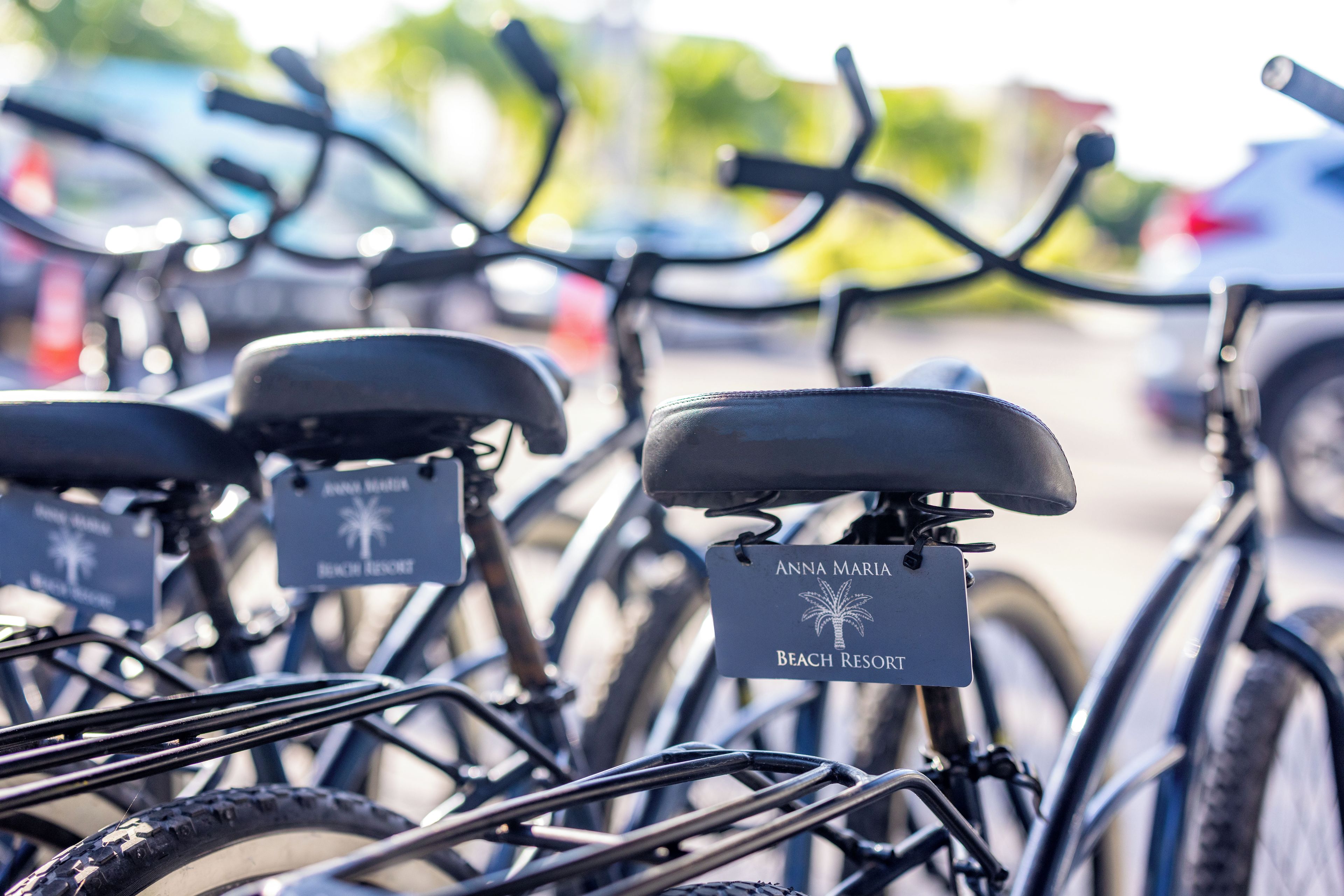 Diverses bicicletes amb etiquetes aparcades en fila.