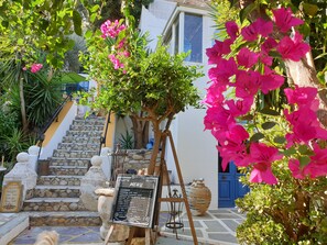 A stone staircase leading to a white building with a blue door, surrounded by lush greenery and vibrant pink flowers.