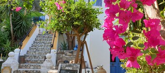 Orea Ellas - Apollon | Sea View Studio