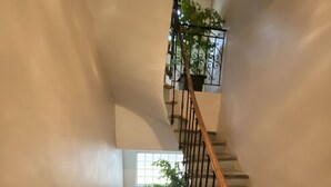 Una scala a chiocciola con ringhiera in metallo, una pianta in vaso su un pianerottolo e una finestra con vista sull'esterno.