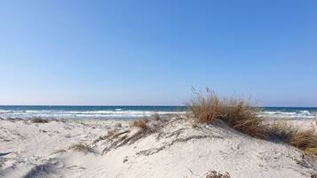 Camastros y toallas de playa