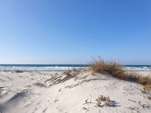 Chaises longues, serviettes de plage