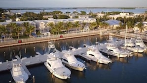 A marina with multiple yachts docked, surrounded by residential buildings and palm trees. - 3 bedroom 2 bath Ocean front condo on marina with opt boat slip.   (Key West)