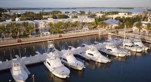 A marina with multiple yachts docked, surrounded by residential buildings and palm trees.