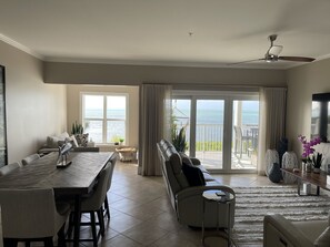 Älytelevisio, takka, kirjoja, musiikkikirjasto