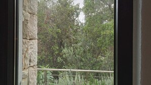 A view through a window with stone framing, overlooking a natural landscape with trees and tall grasses. - Villa Elizabeth with pool close to Fiskardo (Fiskardo)