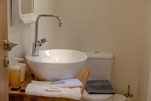 Combined shower/bathtub, hair dryer, towels, soap