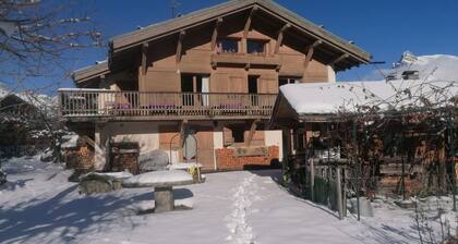 jlulbert's chalet near biotop lake and center