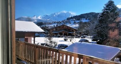 jlulbert's chalet near biotop lake and center