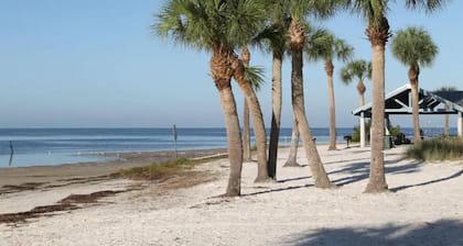 Luxury Home & Mins to beach/Walk to Downtown