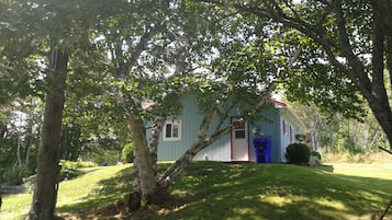 Udendørsområde