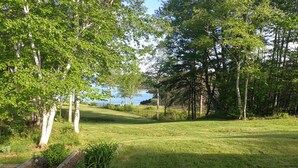 A grassy area with trees and a body of water in the background.