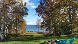 A grassy area with a bench and rocks, surrounded by trees and a view of the water.