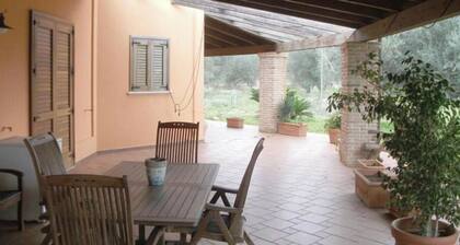 Villa Degli Ulivi
