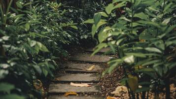 Jardines del alojamiento