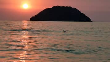 海滩