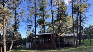 A cabin with a porch, surrounded by tall pine trees. - Cozy cabin in a peaceful place (Ruidoso)