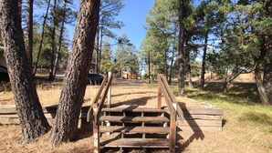 A wooden staircase leading up to a cabin in a forested area. - Cozy cabin in a peaceful place (Ruidoso)
