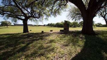 Terrein van de accommodatie