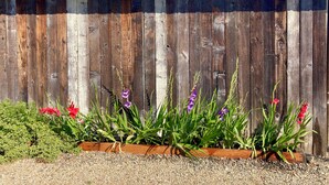 A wooden fence with a metal roof, a gravel path, and various plants and flowers. - Vineyard suite located in the orchard with private entrance-Villa Riposo Winery (Morgan Hill)