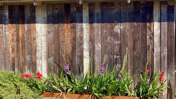 DĂ©tail de lâextĂ©rieur