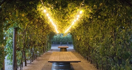 Vineyard suite located in the orchard with private entrance